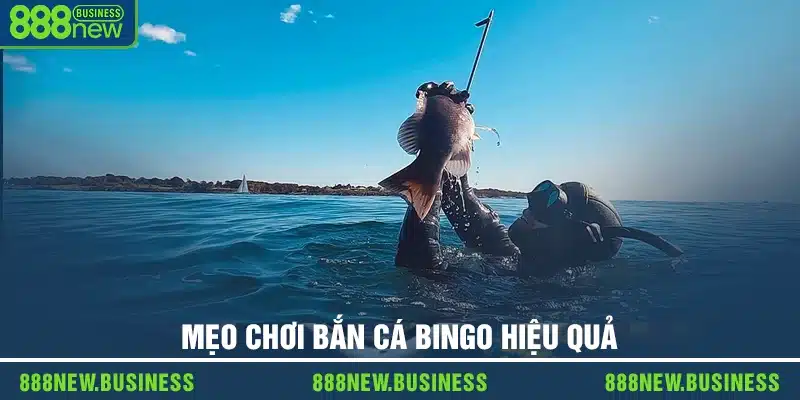 Mẹo chơi bắn cá Bingo hiệu quả